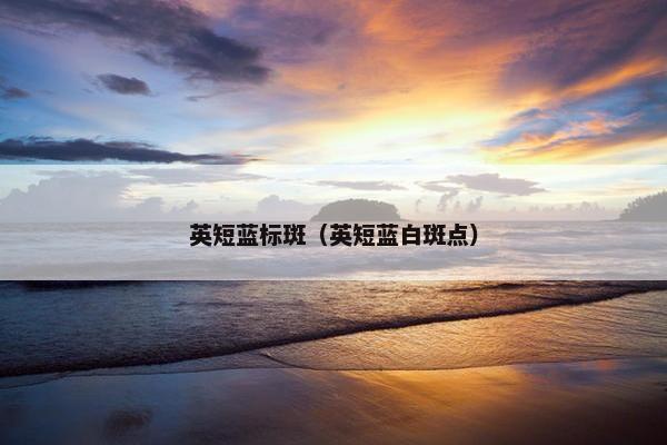 英短蓝标斑（英短蓝白斑点）