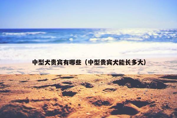 中型犬贵宾有哪些（中型贵宾犬能长多大）