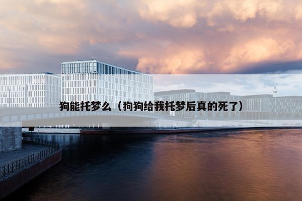 狗能托梦么（狗狗给我托梦后真的死了）