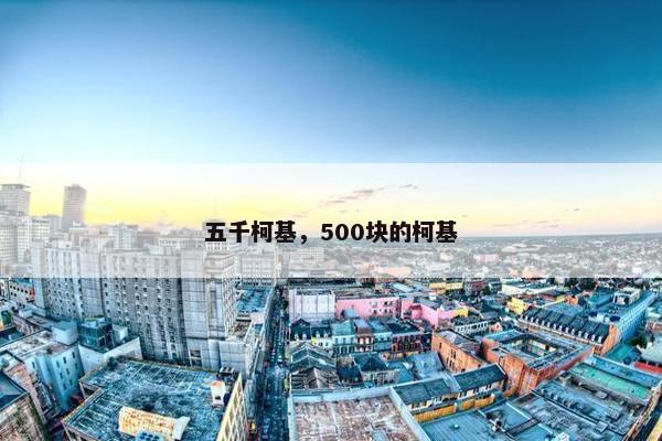 五千柯基，500块的柯基