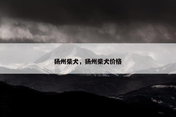 扬州柴犬，扬州柴犬价格