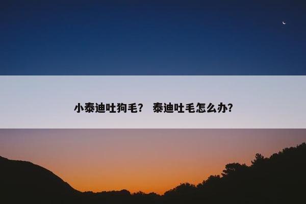 小泰迪吐狗毛？ 泰迪吐毛怎么办？
