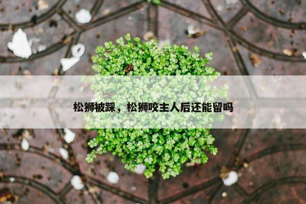 松狮被踩，松狮咬主人后还能留吗