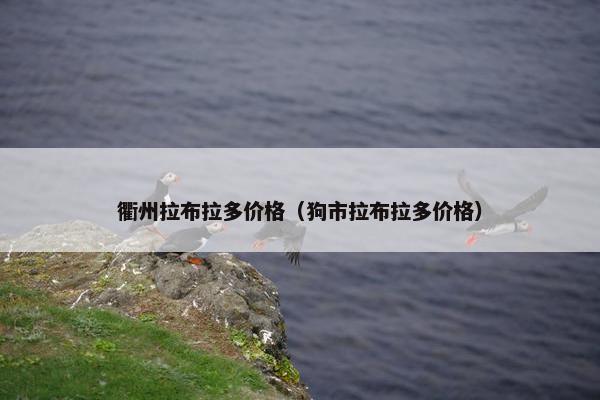 衢州拉布拉多价格（狗市拉布拉多价格）