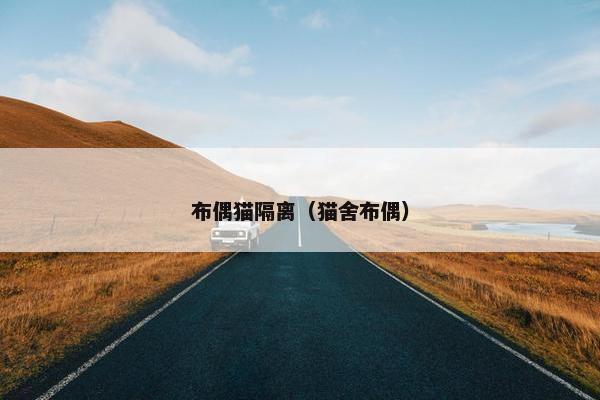 布偶猫隔离（猫舍布偶）