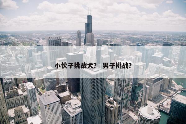 小伙子挑战犬？ 男子挑战？