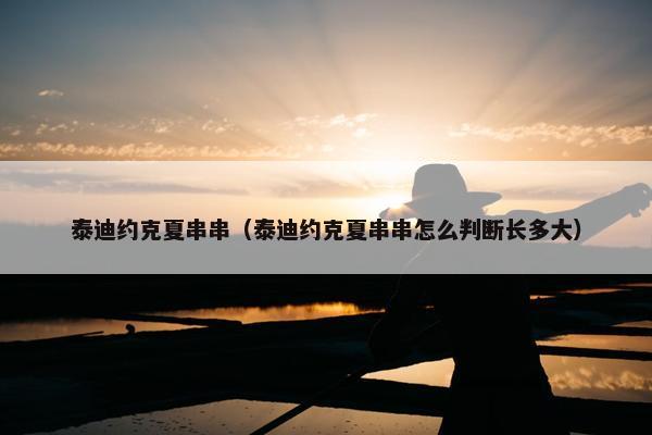泰迪约克夏串串（泰迪约克夏串串怎么判断长多大）