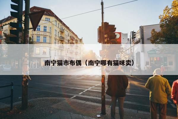 南宁猫市布偶（南宁哪有猫咪卖）