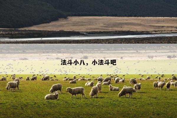 法斗小八，小法斗吧