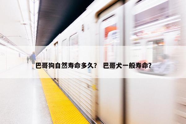 巴哥狗自然寿命多久？ 巴哥犬一般寿命？