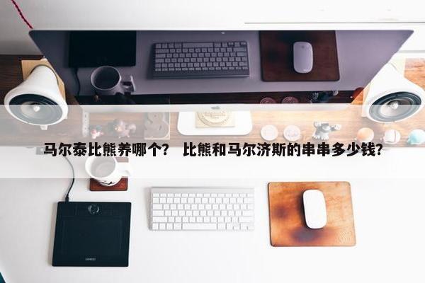 马尔泰比熊养哪个？ 比熊和马尔济斯的串串多少钱？