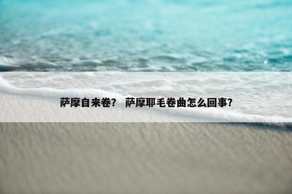 萨摩自来卷？ 萨摩耶毛卷曲怎么回事？