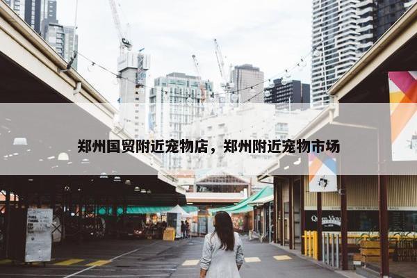 郑州国贸附近宠物店，郑州附近宠物市场