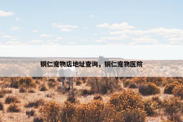 铜仁宠物店地址查询，铜仁宠物医院