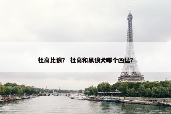 杜高比狼？ 杜高和黑狼犬哪个凶猛？