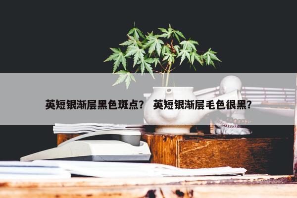 英短银渐层黑色斑点？ 英短银渐层毛色很黑？