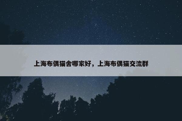 上海布偶猫舍哪家好，上海布偶猫交流群