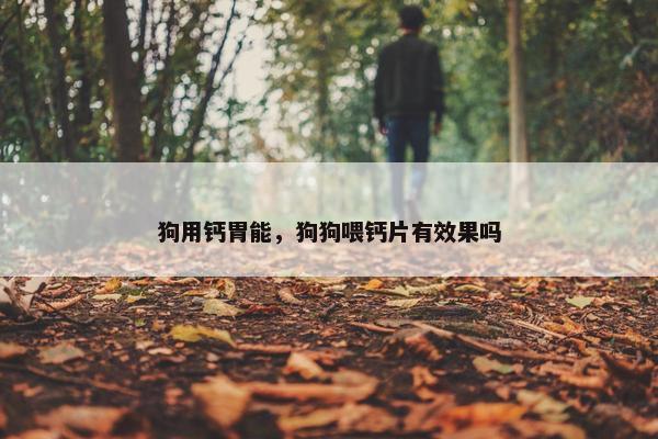 狗用钙胃能，狗狗喂钙片有效果吗