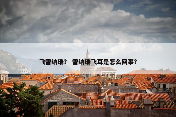 飞雪纳瑞？ 雪纳瑞飞耳是怎么回事？