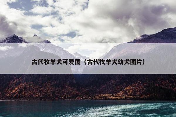 古代牧羊犬可爱图（古代牧羊犬幼犬图片）