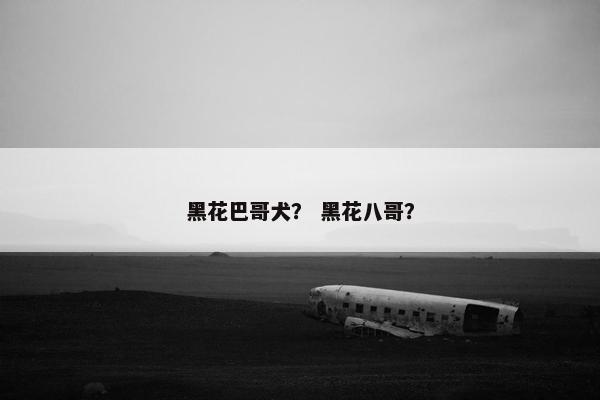 黑花巴哥犬？ 黑花八哥？