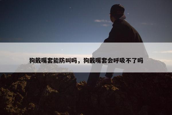 狗戴嘴套能防叫吗，狗戴嘴套会呼吸不了吗
