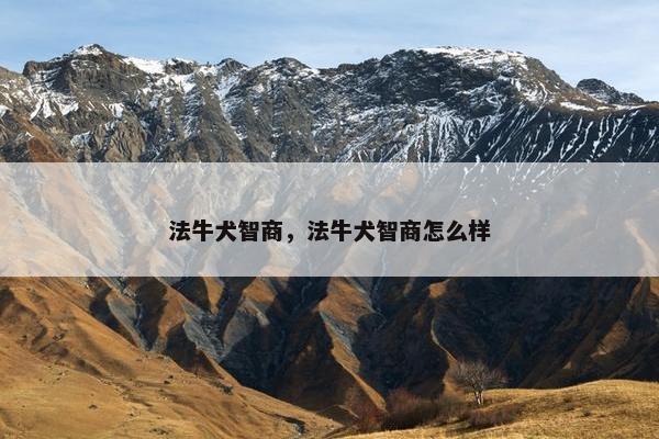 法牛犬智商，法牛犬智商怎么样