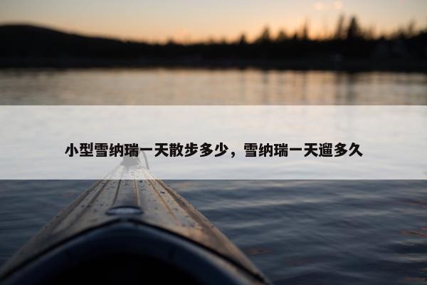小型雪纳瑞一天散步多少，雪纳瑞一天遛多久