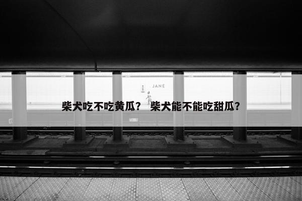 柴犬吃不吃黄瓜？ 柴犬能不能吃甜瓜？