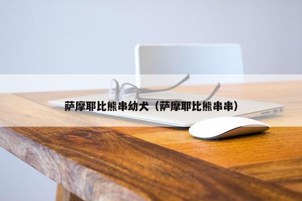萨摩耶比熊串幼犬（萨摩耶比熊串串）