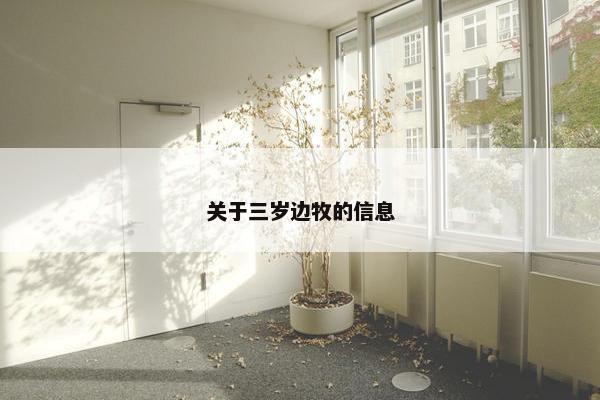 关于三岁边牧的信息
