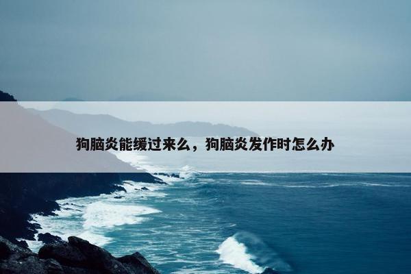 狗脑炎能缓过来么，狗脑炎发作时怎么办