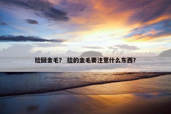 捡回金毛？ 捡的金毛要注意什么东西？