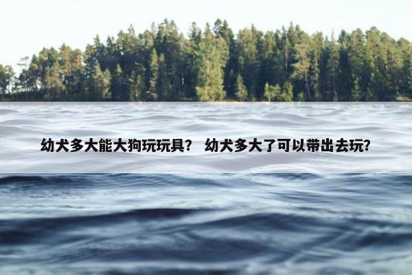 幼犬多大能大狗玩玩具？ 幼犬多大了可以带出去玩？