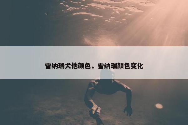 雪纳瑞犬他颜色，雪纳瑞颜色变化