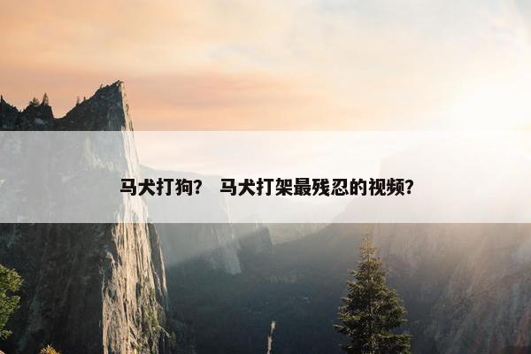 马犬打狗？ 马犬打架最残忍的视频？