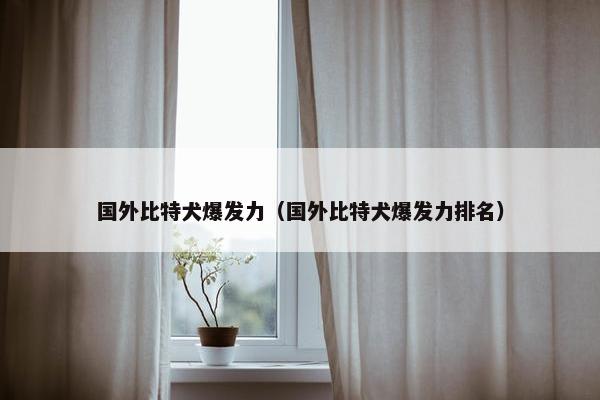 国外比特犬爆发力（国外比特犬爆发力排名）