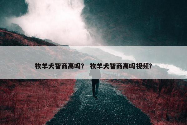 牧羊犬智商高吗？ 牧羊犬智商高吗视频？