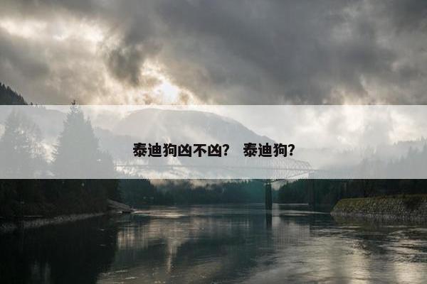 泰迪狗凶不凶？ 泰迪狗？
