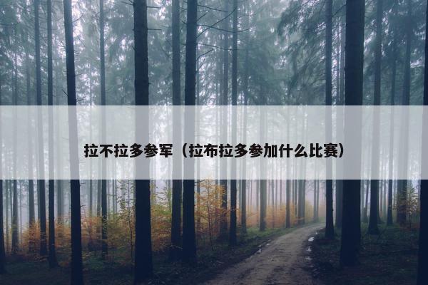 拉不拉多参军（拉布拉多参加什么比赛）