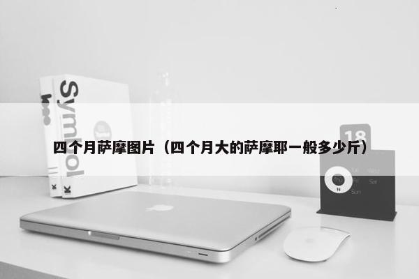 四个月萨摩图片（四个月大的萨摩耶一般多少斤）