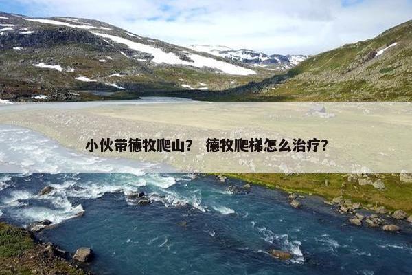 小伙带德牧爬山？ 德牧爬梯怎么治疗？