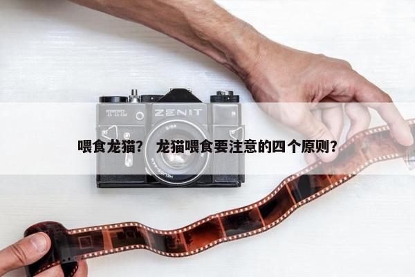 喂食龙猫？ 龙猫喂食要注意的四个原则？