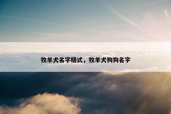 牧羊犬名字格式，牧羊犬狗狗名字