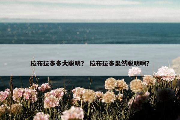 拉布拉多多大聪明？ 拉布拉多果然聪明啊？