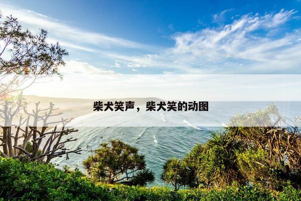柴犬笑声，柴犬笑的动图