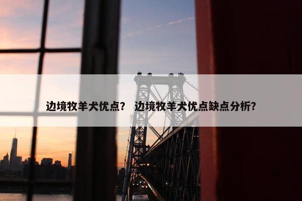 边境牧羊犬优点？ 边境牧羊犬优点缺点分析？