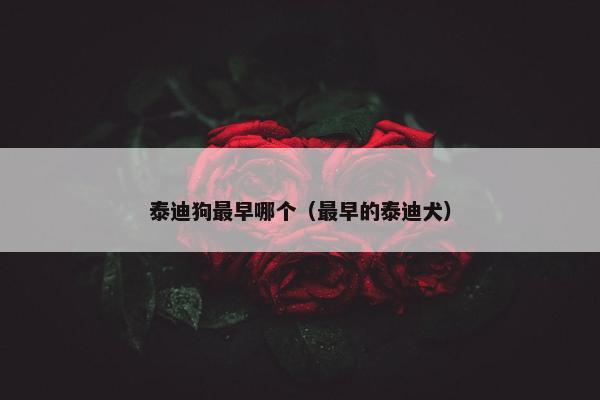 泰迪狗最早哪个（最早的泰迪犬）