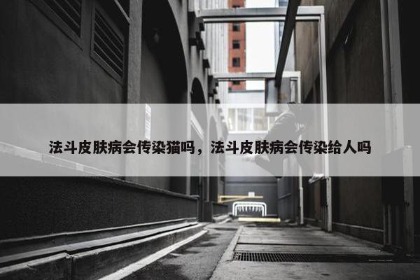法斗皮肤病会传染猫吗，法斗皮肤病会传染给人吗
