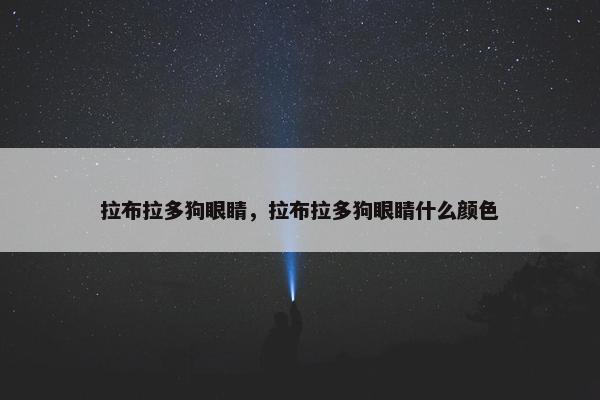 拉布拉多狗眼睛，拉布拉多狗眼睛什么颜色